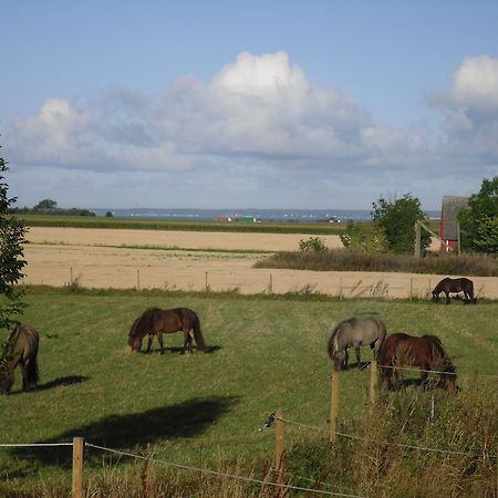 Laegenhet Lillisgarden Vallåkra Exterior foto