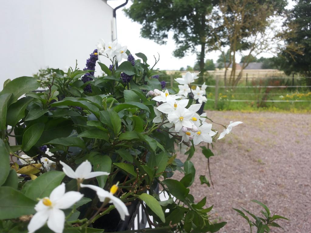 Laegenhet Lillisgarden Vallåkra Exterior foto