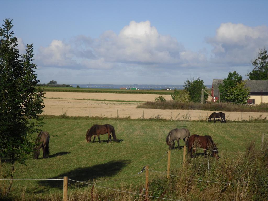 Laegenhet Lillisgarden Vallåkra Exterior foto